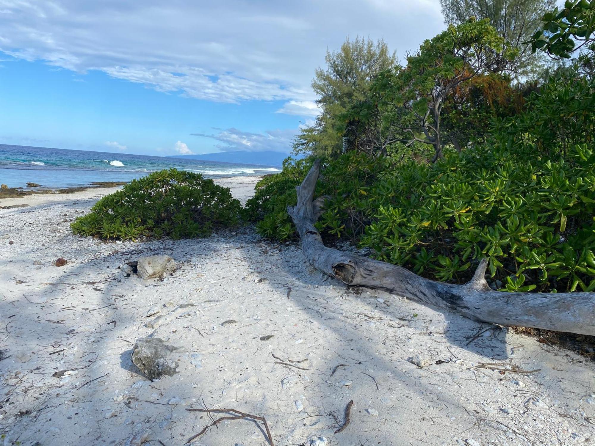Moorea Chill And Beach Lodge Teavaro Bagian luar foto