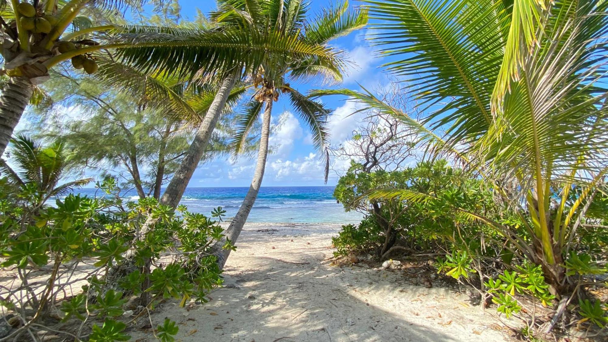Moorea Chill And Beach Lodge Teavaro Bagian luar foto
